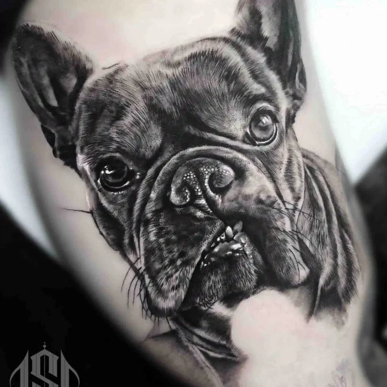 Ein realistisches Tattoo eines Französischen Bulldogs im Realistic Tattoo Style, mit fein ausgearbeiteten Gesichtszügen und lebensechten Details.