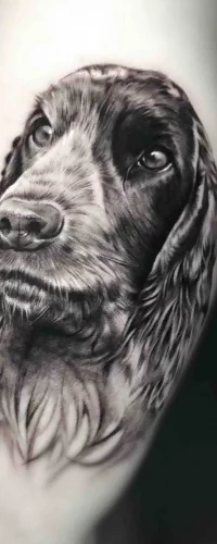 Ein realistisches Tattoo eines Hundekopfes im Realistic Tattoo Style, mit eindrucksvollen Schattierungen und lebendigen Augen.